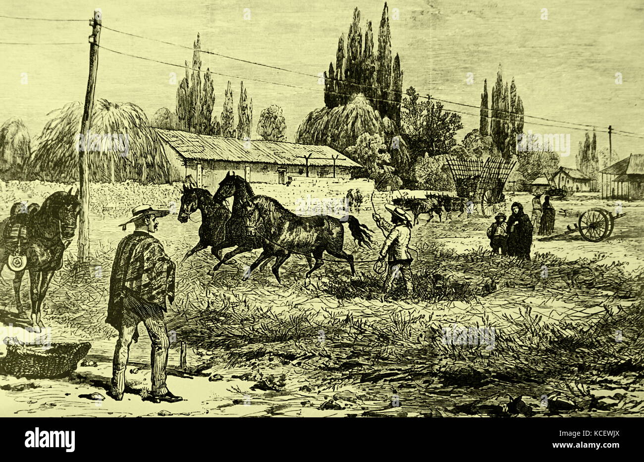Gravur schildert Dreschen mit Pferden in Spanien. Dreschen ist eine Methode zur Trennung von Korn (Mais oder anderen Kulturen) verwendet, in der Regel mit einem dreschflegel oder durch die Aktion eines revolvierenden Mechanismus. Vom 19. Jahrhundert Stockfoto