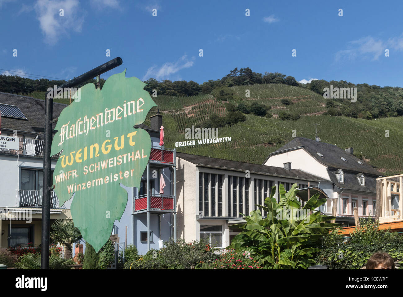 Die Stadt Urzig, in der Mosel, Deutschland, mit den Weinbergen in der Ferne Stockfoto
