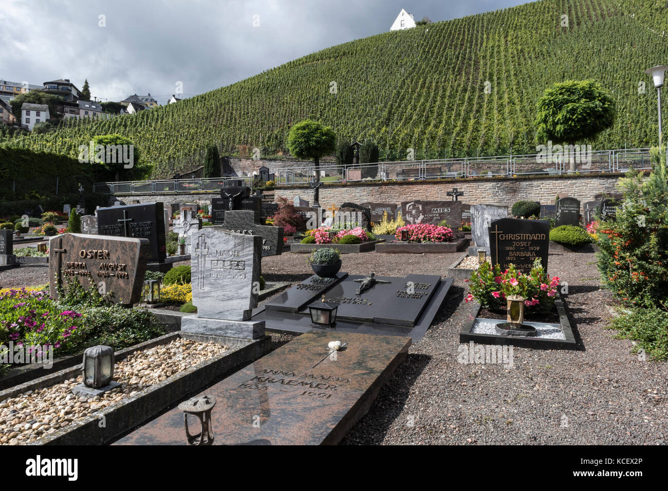 Friedhof in der Stadt Urzig, in der Mosel, Deutschland, mit Riesling Weinberge im Hintergrund Stockfoto