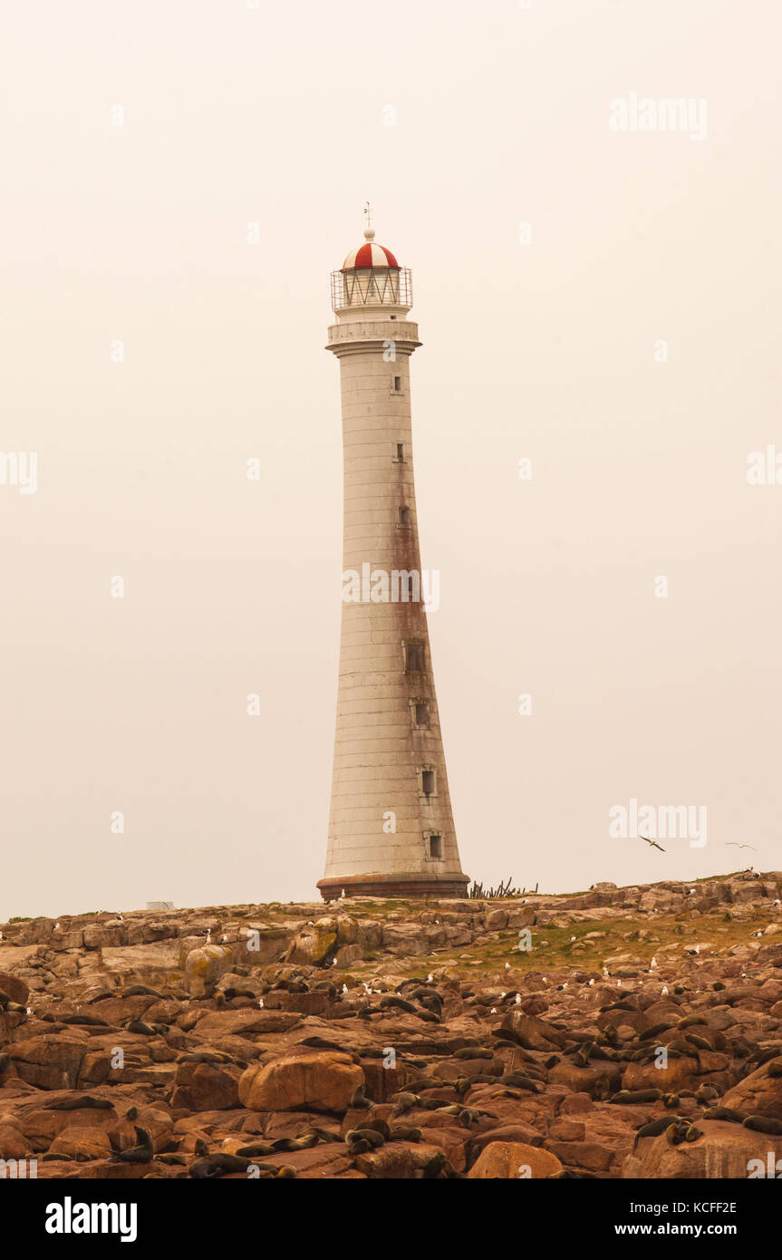 Blick auf den Leuchtturm, Isla de Lobos, Uruguay Stockfoto