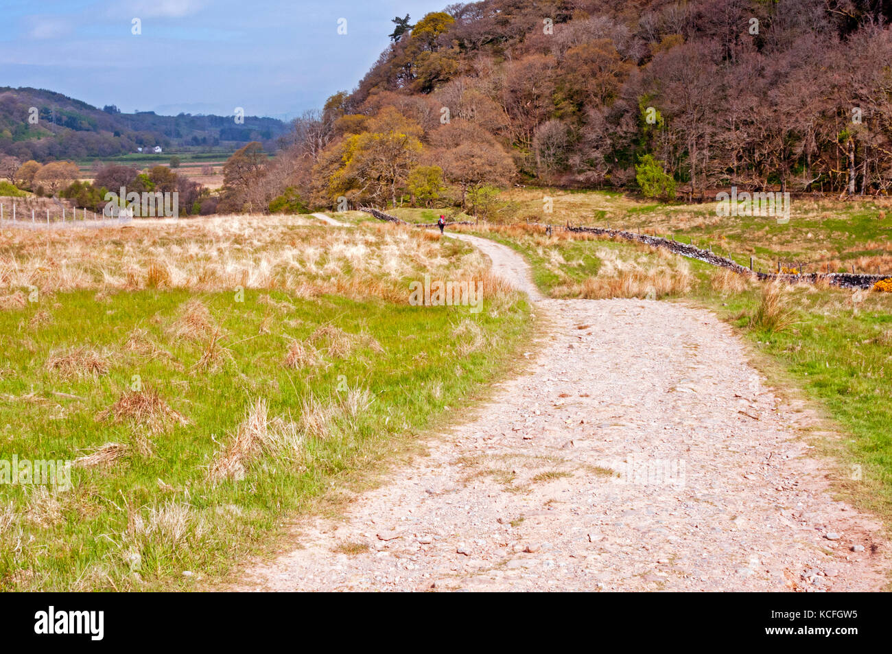 Lone Backpacker auf der West Highland Way, Schottland Stockfoto