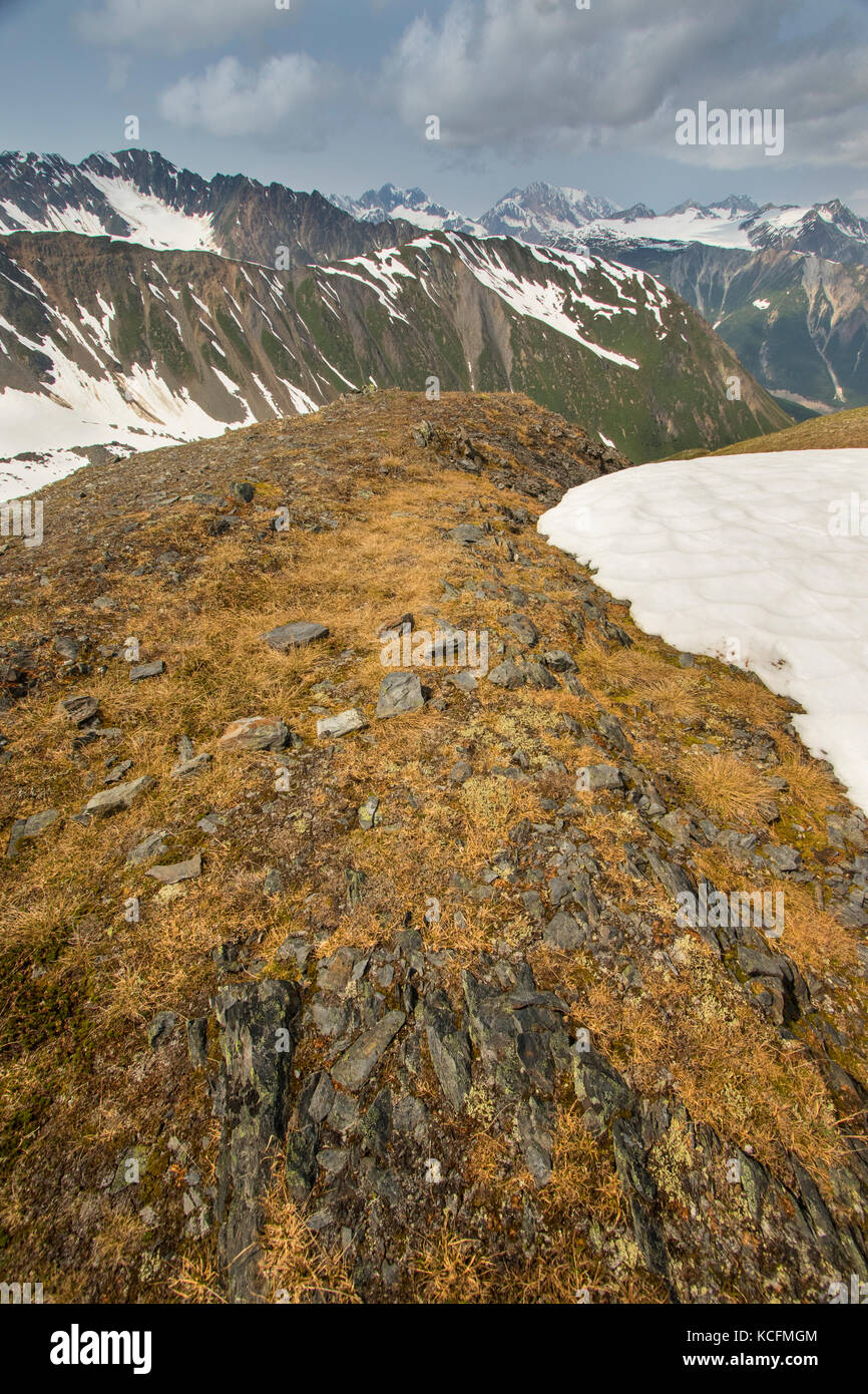 Alaska, alpine, Gletscher, Glacier Creek, Icefields, Porcupine Creek, Tundra, USA Stockfoto