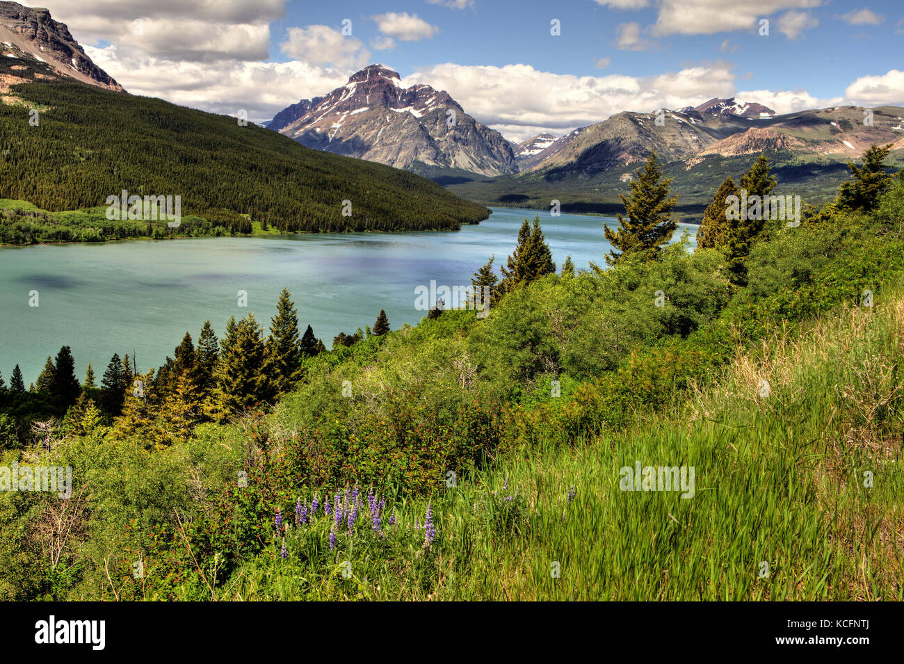 Glacier National Park, Montana, USA Stockfoto