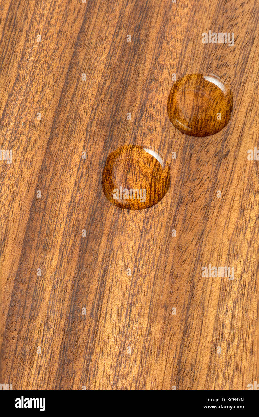 Wasser perlen auf Mahagoniholz Stockfoto