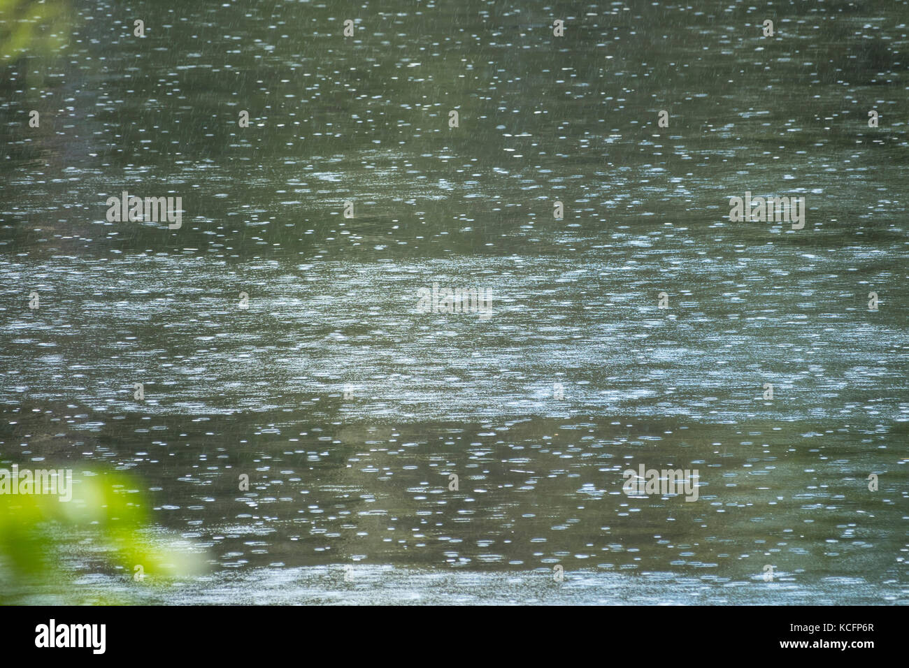 Regentropfen fallen auf das Wasser des Suwannee River Stockfoto