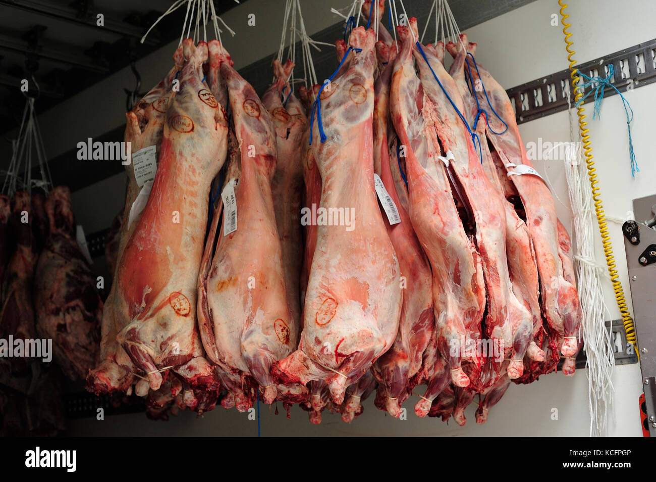 Hängende Schweinefleisch, Saint Quentin Markthalle, 10. Arrondissement, Paris, Frankreich Stockfoto