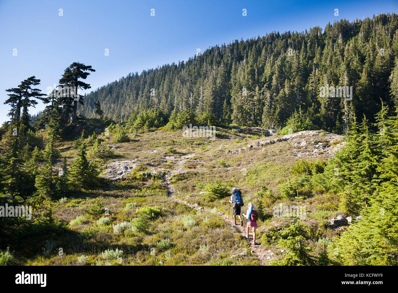Ein junger Mann und eine Frau, die Wanderung entlang des Weges an Cobalt See auf dem Weg zu 5040 Peak im Clayoquot Region auf Vancouver Island, BC, Kanada. Stockfoto