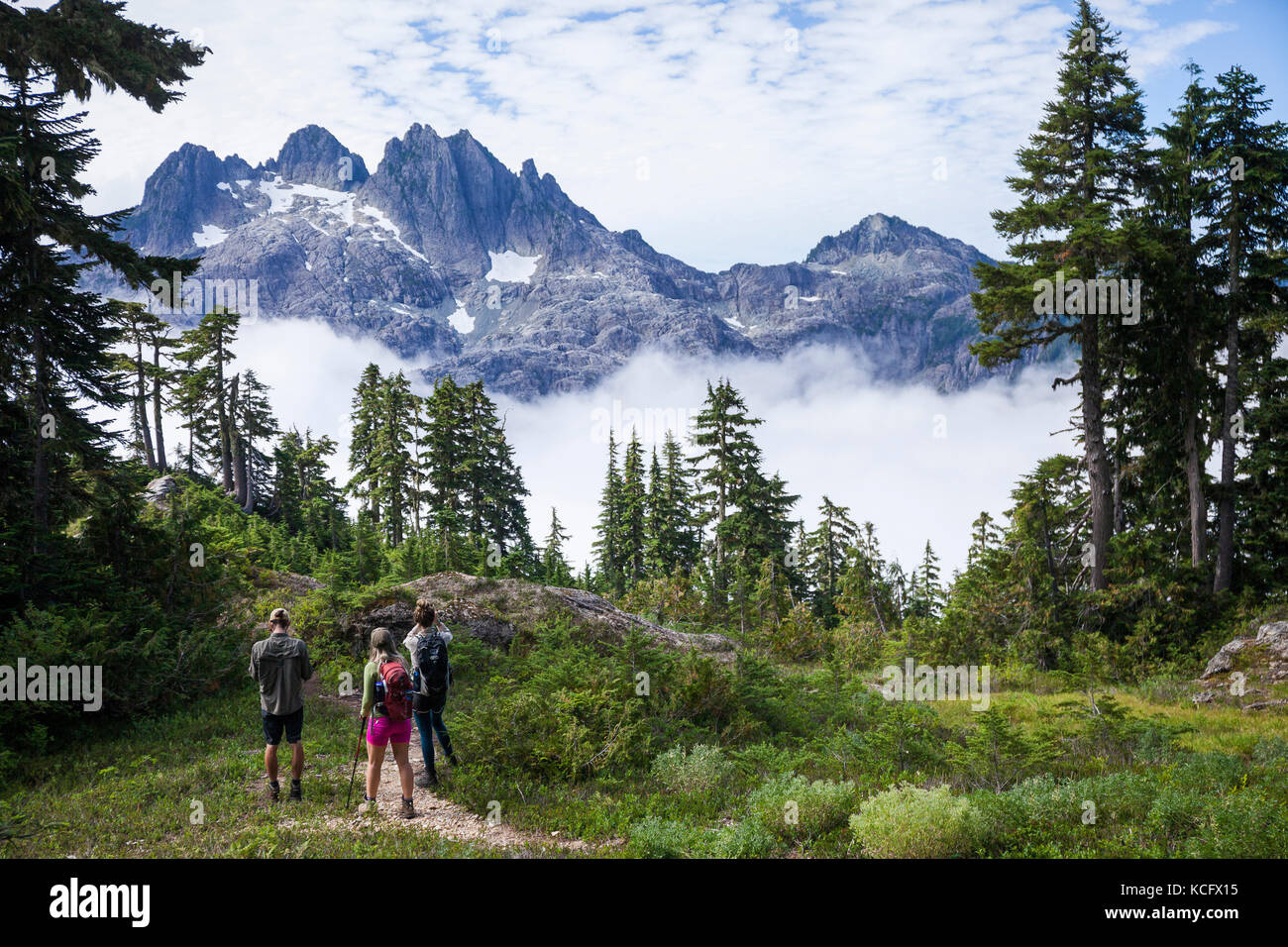 Drei junge Wanderer Blick in Richtung Triple Peak beim Wandern die Spur im Clayoquot Region auf Vancouver Island, BC, Kanada 5040 Peak. Stockfoto