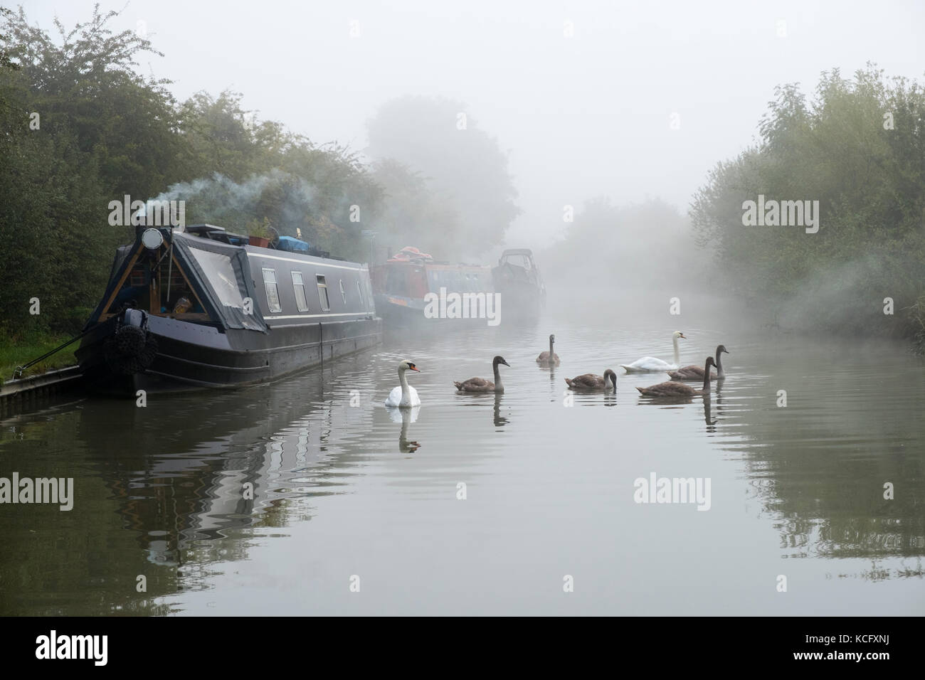 Am frühen Morgen beginnt im Herbst Nebel steigen auf der Ashby-de-la-zouche Kanal, in der Nähe von Stoke Golding. Stockfoto