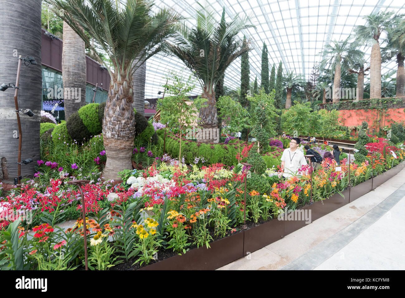 Im Inneren des Flower Dome in den Gardens by the Bay in Singapur. Die Kuppel zeigt eine riesige Auswahl an Pflanzen, Pflanzen und Bäumen aus der ganzen Welt. Stockfoto