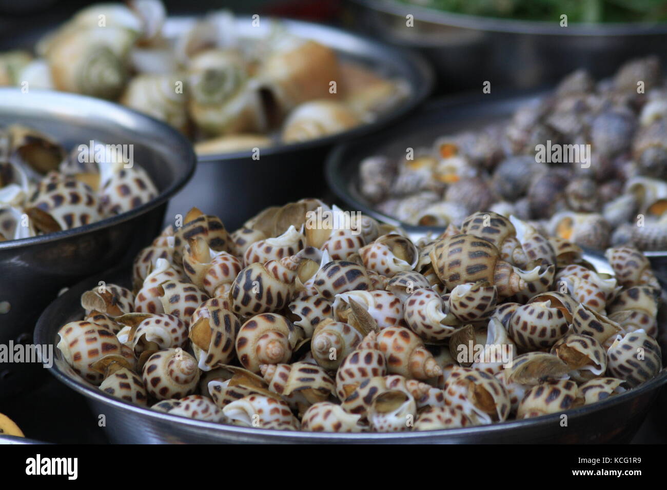 Schnecken auf dem Markt in Vietnam zu essen - Schnecken in Markt in Vietnam zum Essen Stockfoto