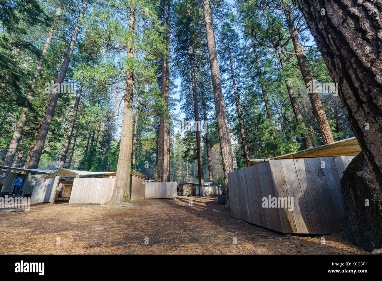 Die allgemeine Ordnung und Sauberkeit in den berühmten Yosemite National Park Stockfoto