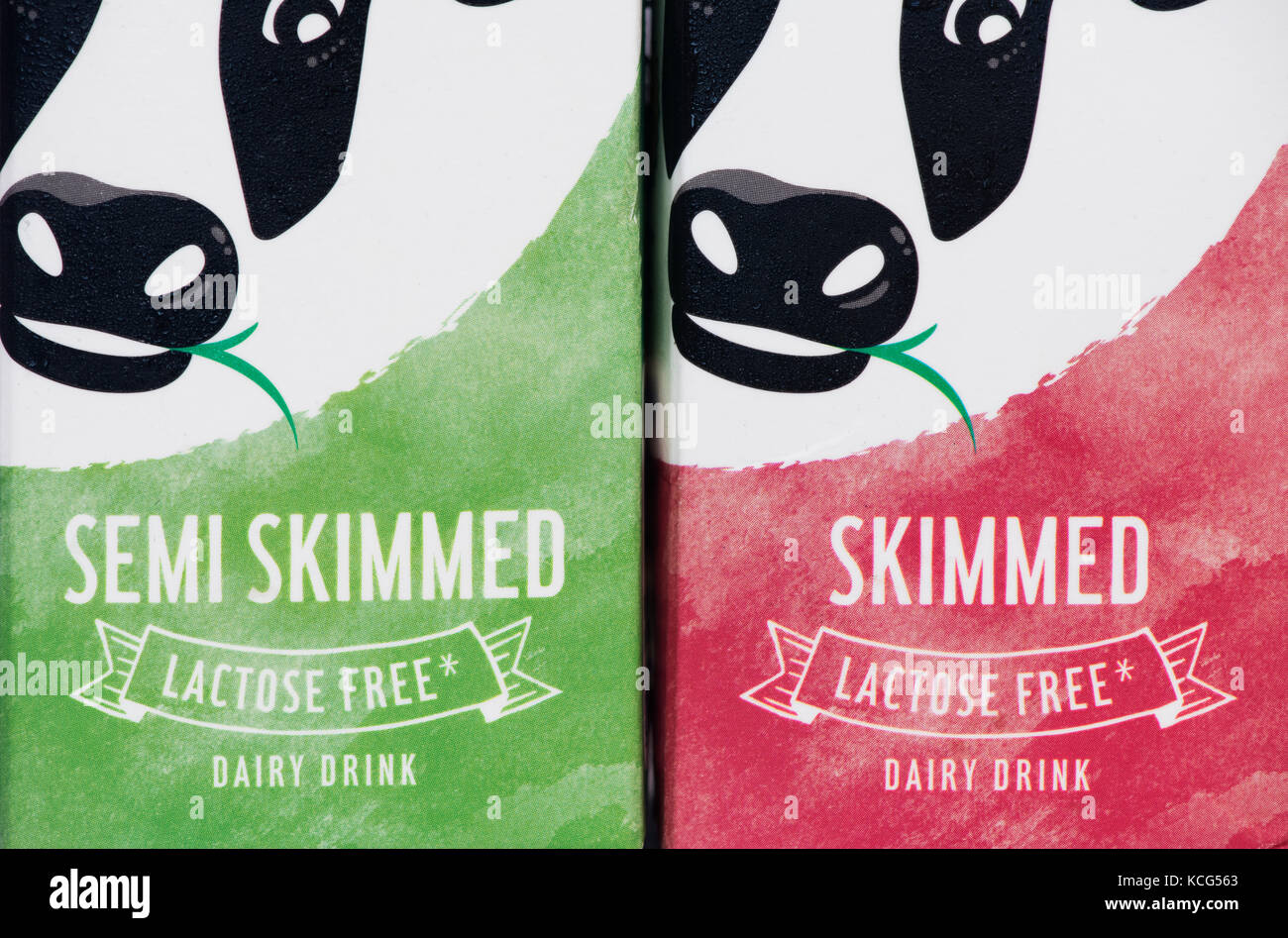 Laktosefreie Milch trinken Karton Etikettierung Stockfoto