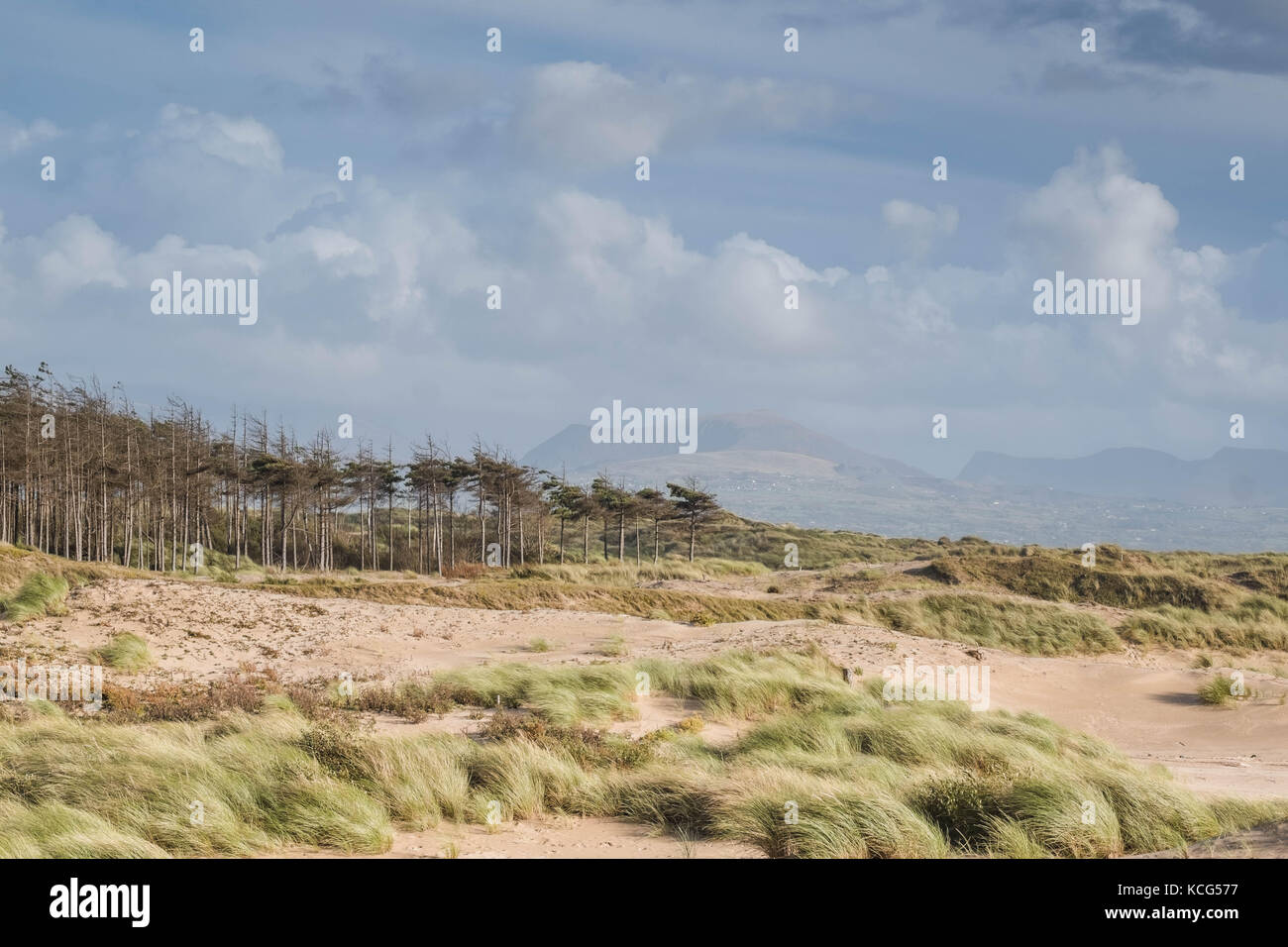 Wolken über die Berge von Snowdonia und die Bäume, Dünen und Strand in Staplehurst, Isle of Anglesey, North Wales, UK Stockfoto