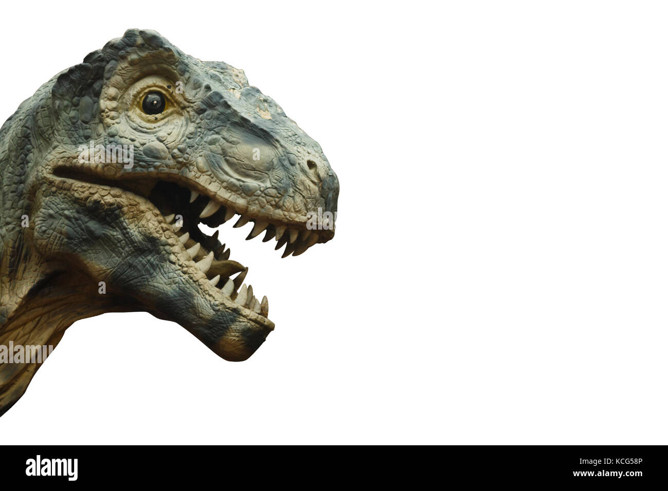 Tyrannosaurus rex und leeren Bereich auf der rechten Seite. isoliert. Stockfoto