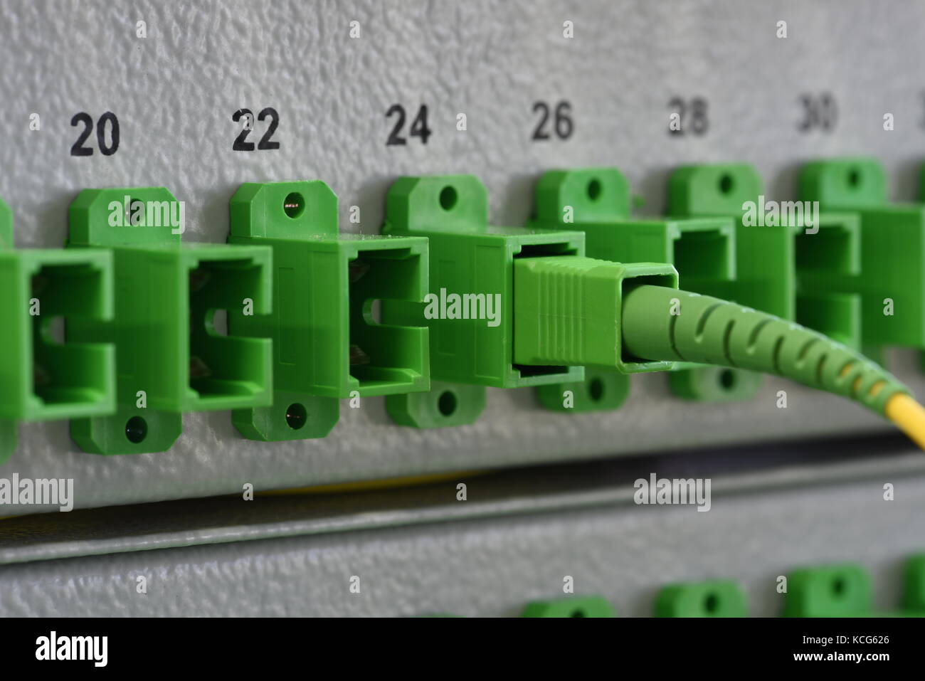 Optical Distribution Panels mit LWL-Kabel am passiven optischen Netzwerk Stockfoto