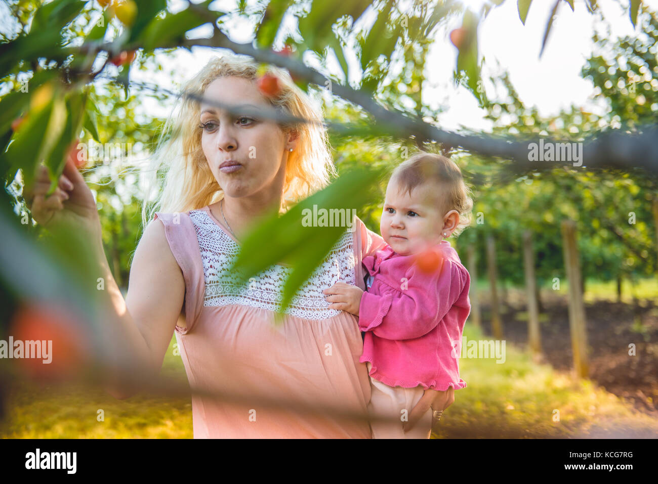 Mutter mit Baby Kommissionierung und Kirsche Essen im Garten Stockfoto