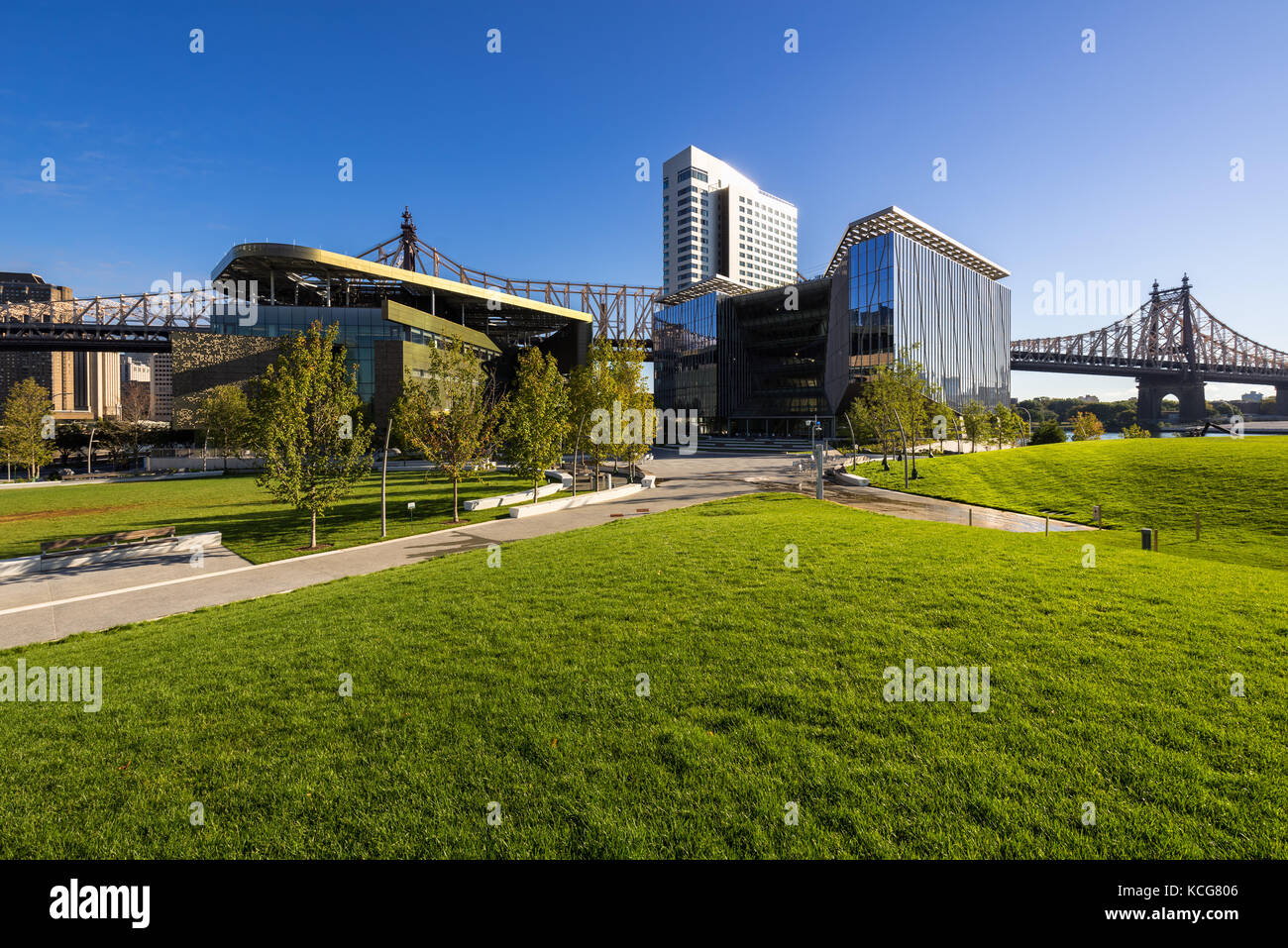 Die Cornell Tech Campus auf Roosevelt Island im Sommer. New York City Stockfoto