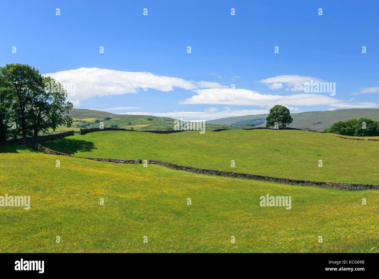 Wensleydale Landschaft North Yorkshire England Stockfoto