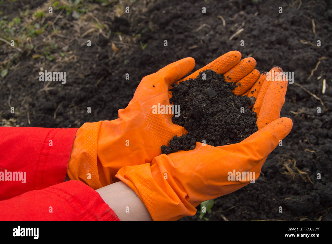 Hände, wer trägt orange Gummihandschuhe mit der Erde im Hintergrund. Stockfoto