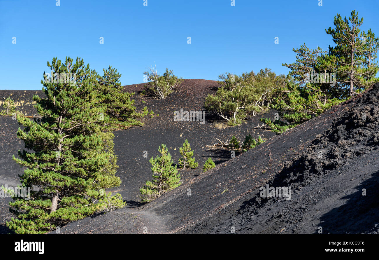 Vulkan Ätna, mount Sartorius, Sizilien, Italien, das eruptive Kegel von 1865 Stockfoto