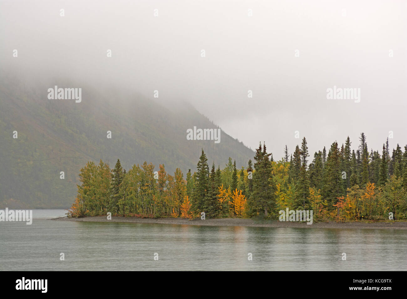 Nebel und Rückgang der Kathleen Lake im Kluane National Park im Yukon Territory Stockfoto