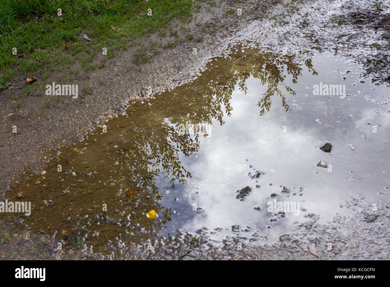 Bäume & Sky Reflexionen in eine Pfütze auf einen schlammigen Weg Stockfoto