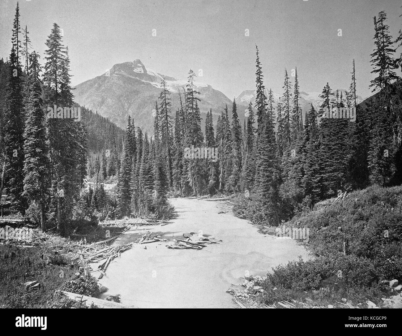 Kanada, der Illicilliwaet Fluss, auch Illecillewaet River fließt durch die bewaldete Landschaft, im Hintergrund die Berge der Einsiedler Strecke am Gletscher, Berge in British Columbia, digital verbesserte Reproduktion einer historischen Foto aus dem (geschätzten) Jahr 1899 Stockfoto