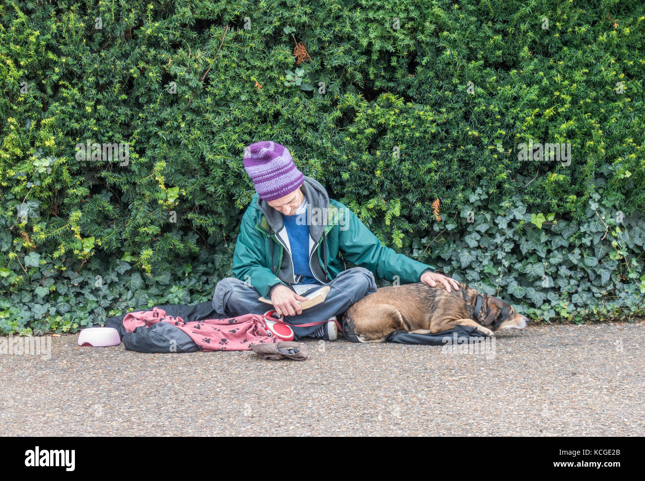 Ältere/alte/Ältere obdachlose Bettler Mann/rough Sleeper, das Tragen einer Mütze Hut, sitzen, ein Buch lesen, mit einer Hand auf seinen Hund, London, England, UK. Stockfoto