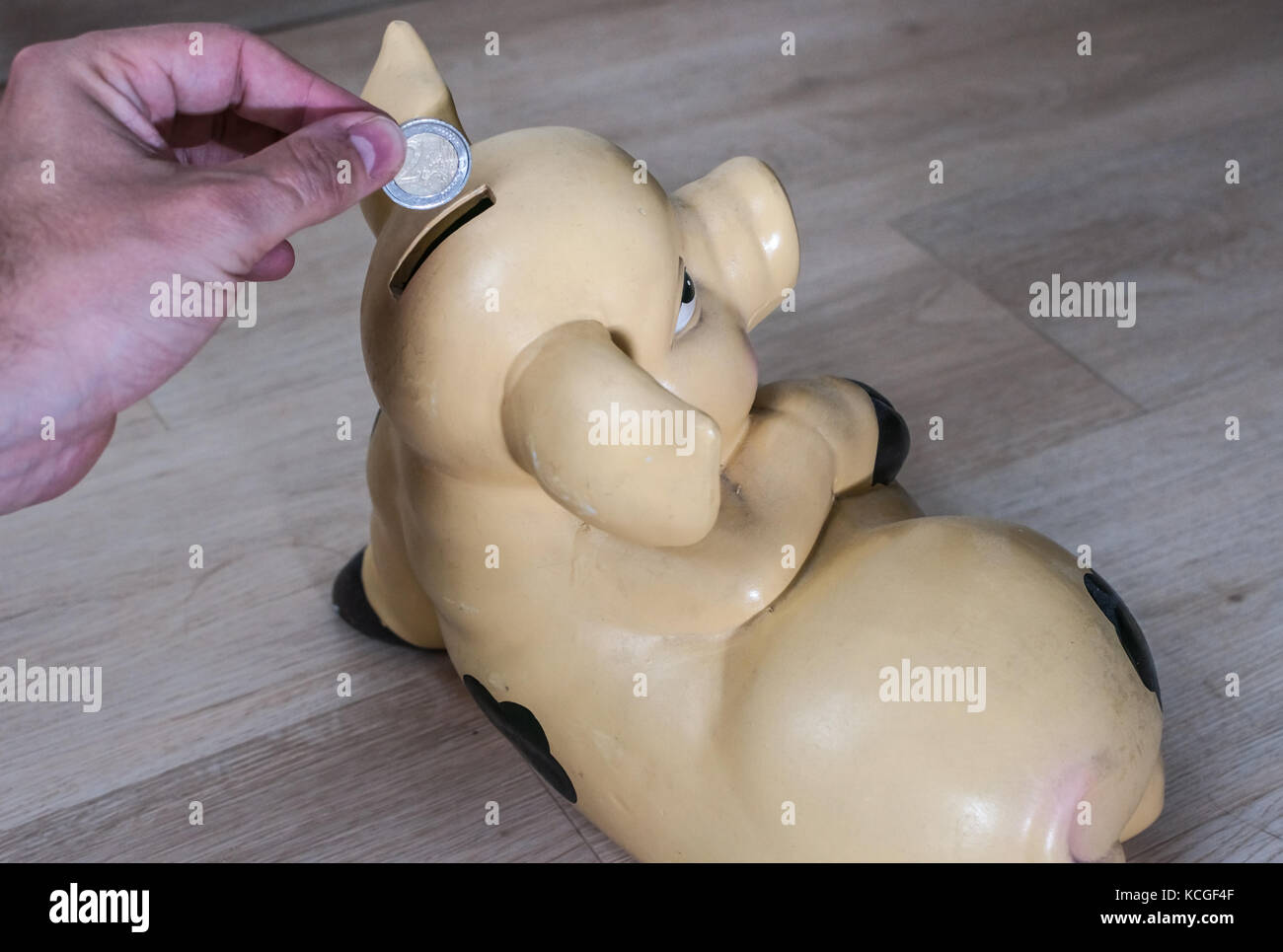 Die Hand des Menschen stellen eine 2 Euro Münze in einem Sparschwein Stockfoto