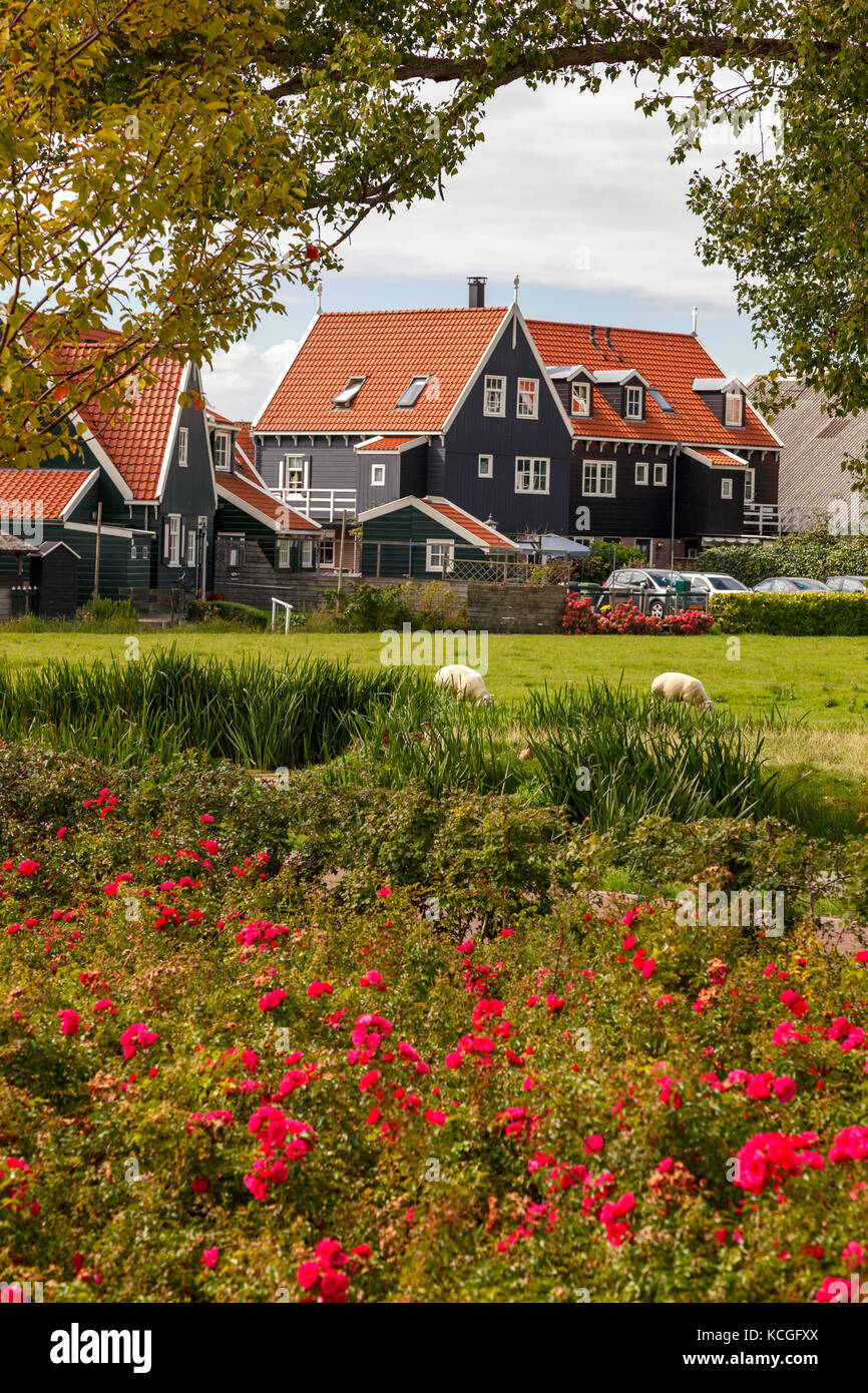 Traditionelle Häuser in Holland mit Garten in seiner vorderen Stockfoto