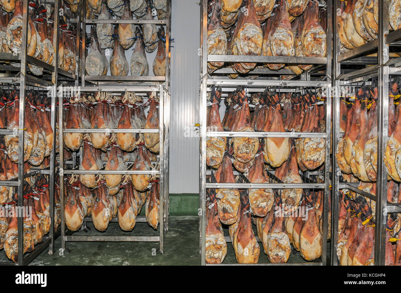 Schinken Produktion, jamon Belota, Extremadura, Spanien Stockfoto
