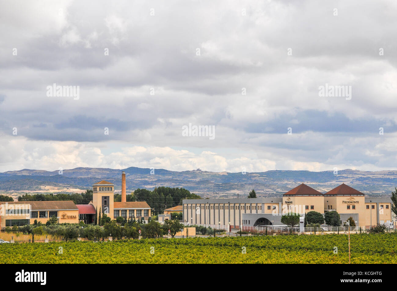 Die Weingüter von Olite, Navarra, Spanien Stockfoto
