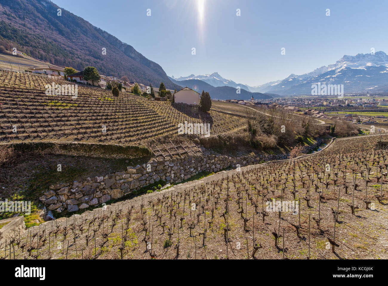 Weinbau von Clos du Rocher, Yvorne, Chablais Waadt, Schweiz Stockfoto