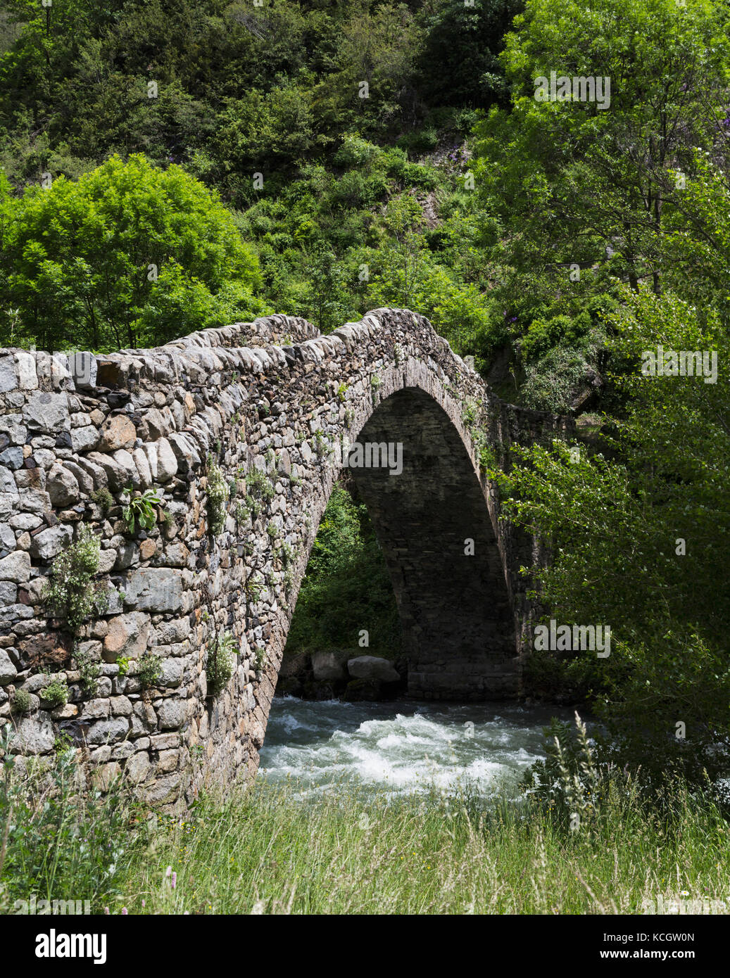 Fürstentum Andorra. Pont de la margineda, oder La margineda Brücke an La margineda. Die einzigen Bogen hump Brücke stammt aus dem späten Mitte Stockfoto