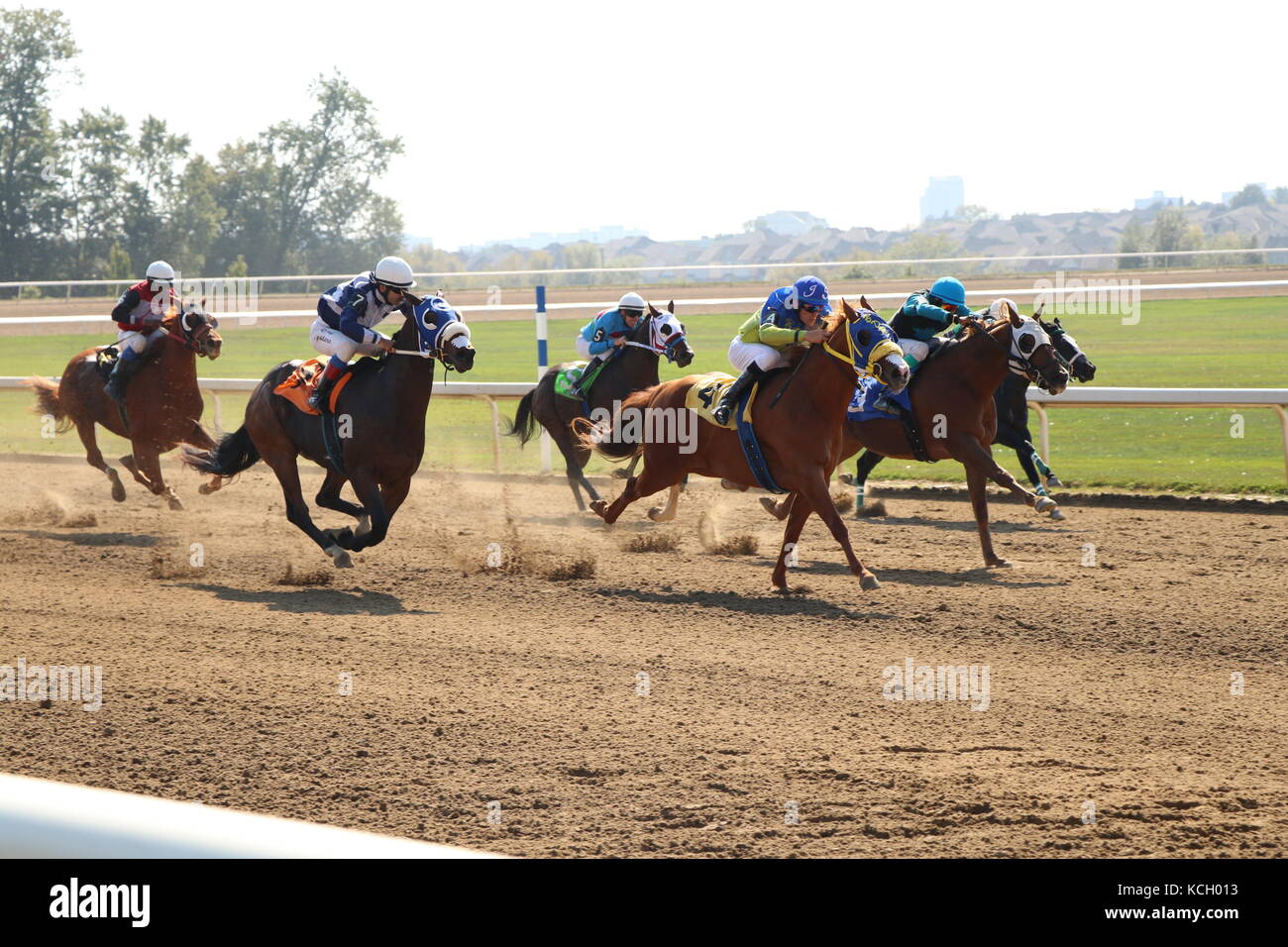 Quarter horse race Stockfoto