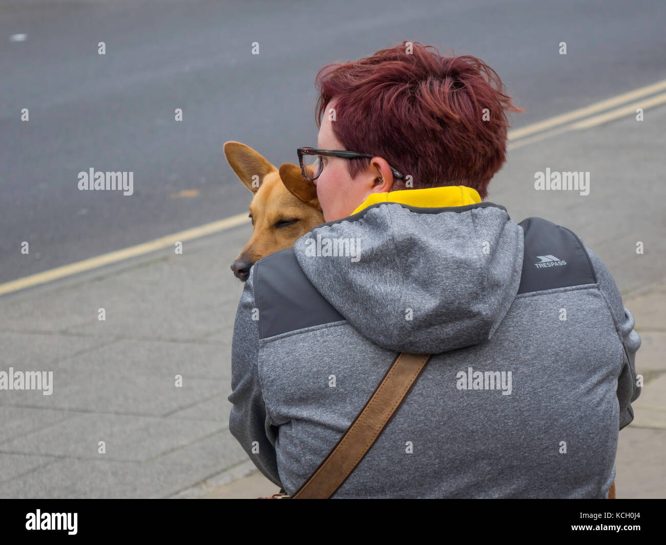 Herbst Tag eine sitzende Frau liebevoll mit einer kleinen braunen Hund schließen Stockfoto