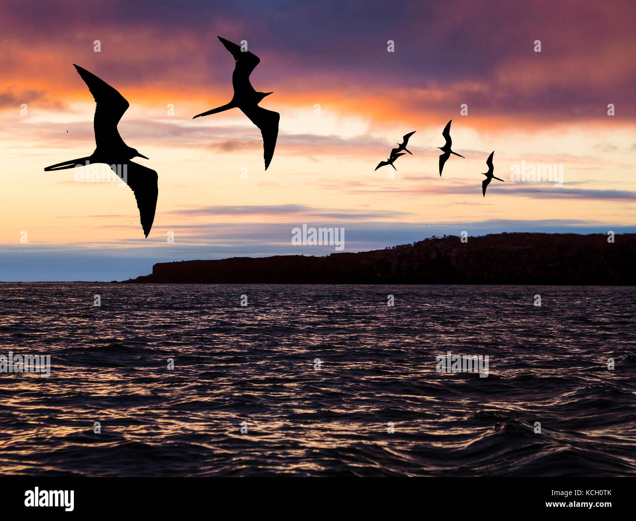 SONNENUNTERGANG AUF DER INSEL BARTOLOME - GALAPAGOS, ECUADOR Stockfoto