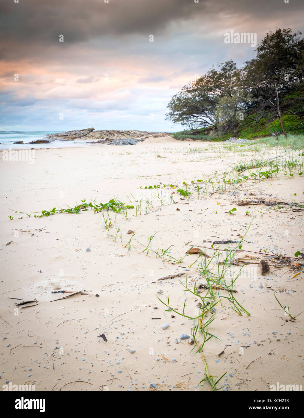 Australischer Strandaufgang am Deadmans Beach, Stradbroke Island in Queensland Stockfoto