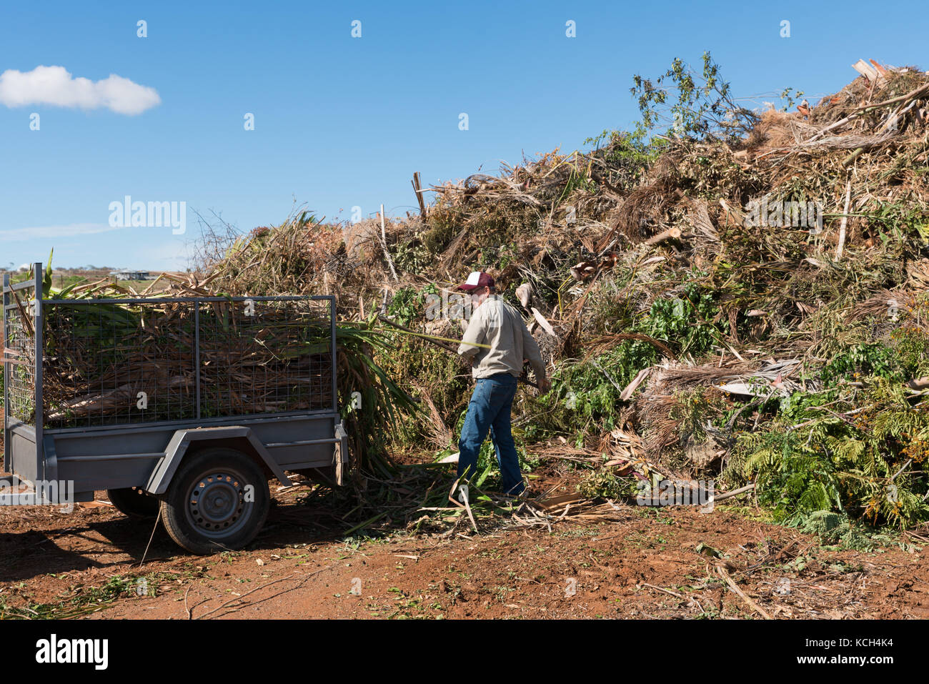 Arbeitnehmer entladen Anhänger voller Garten Stecklinge und Bäume Sammlung Website zu verweigern. Stockfoto