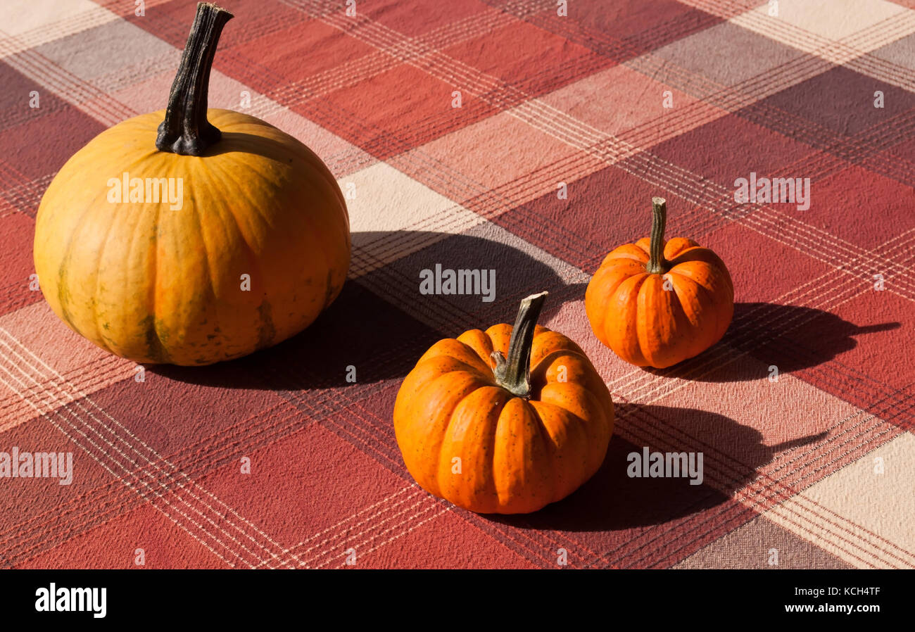 3 orange Kürbisse auf einem Tisch mit einem karierten Tischtuch angeordnet Stockfoto