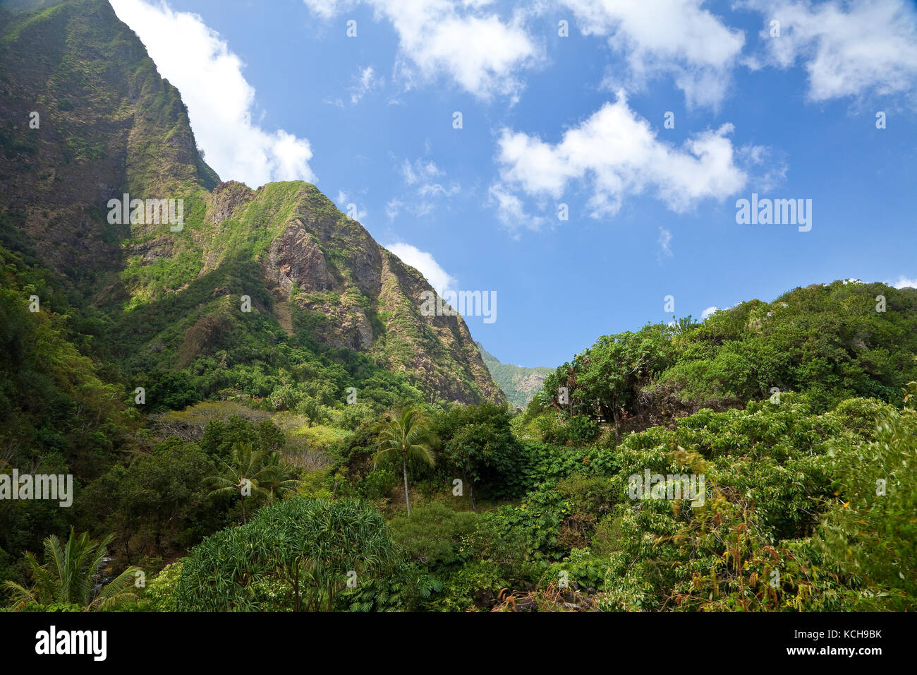 Üppigen Regenwald und steile Berge. iao Valley State Park, Maui, Hawaii Stockfoto