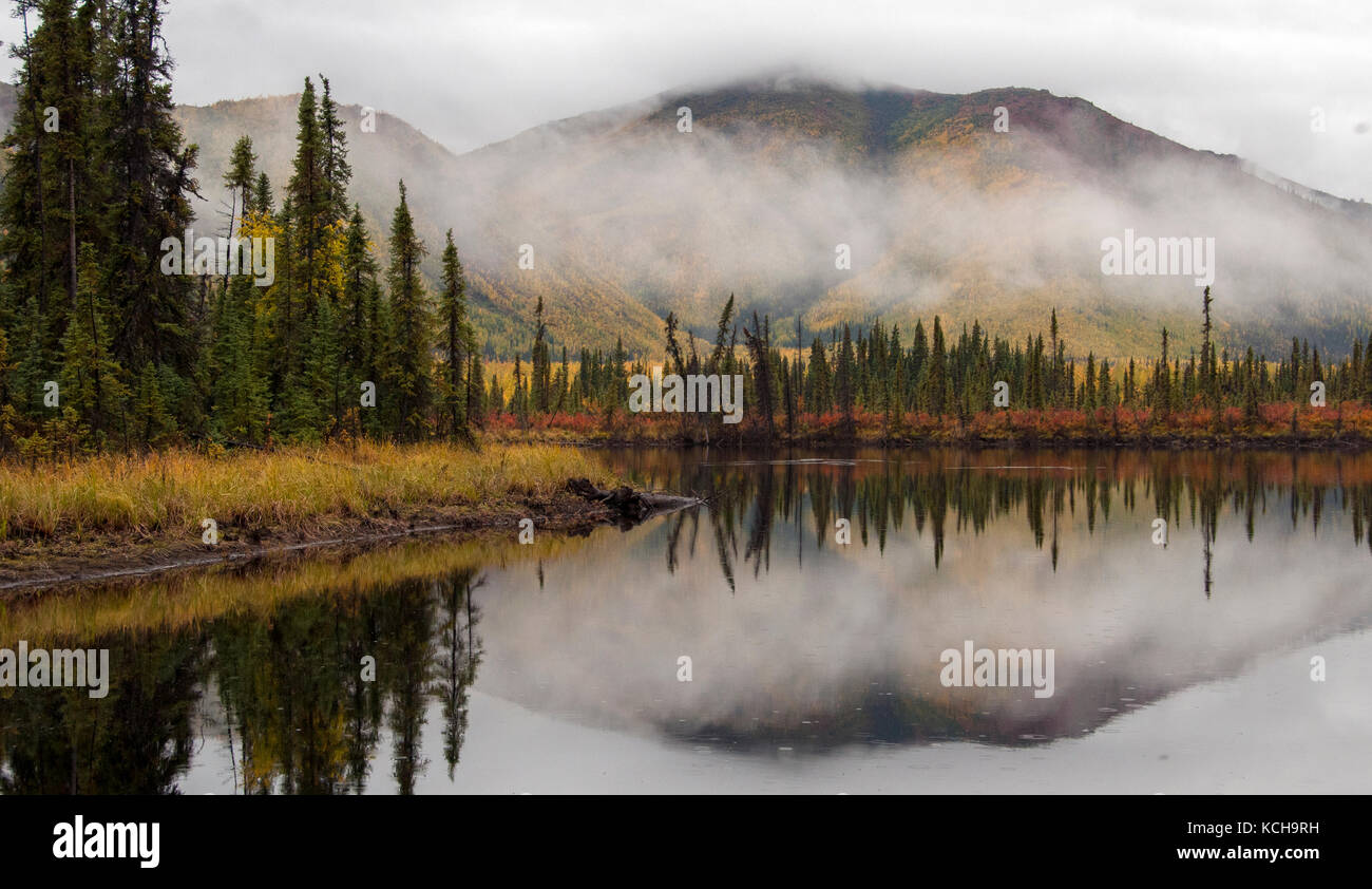Herbst Landschaft entlang der Autobahn 1, in der Nähe von Mentasta Lake, Alaska, Nordamerika. Stockfoto