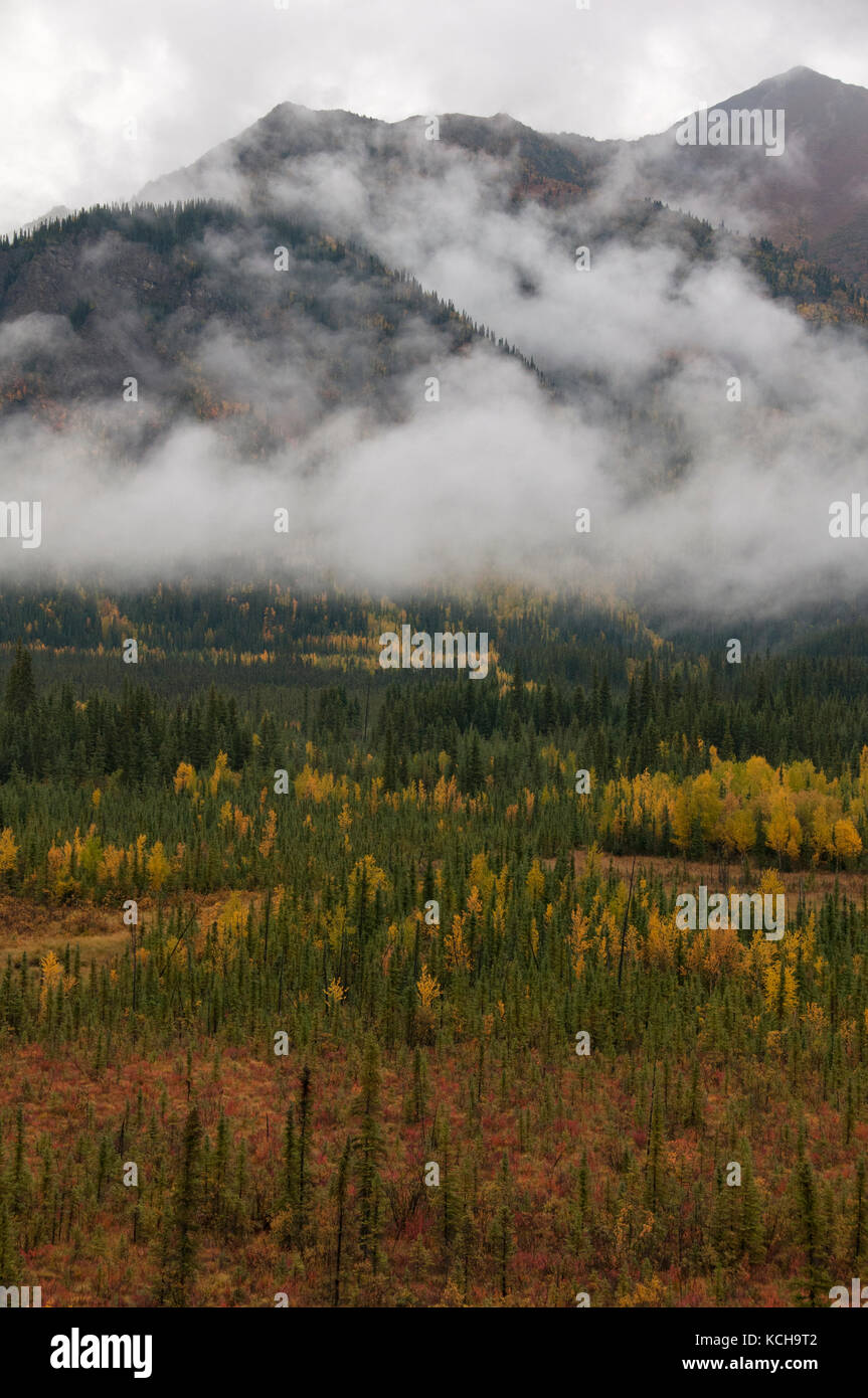 Malerischer herbst Tundra entlang der Autobahn 1 in der Nähe von Tok, Alaska, Nordamerika Stockfoto