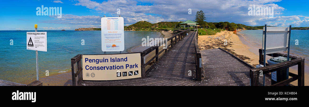 Promenade auf Penguin Island, Shoalwater Islands Marine Park, in der Nähe von Rockingham, Western Australia, Australien Stockfoto