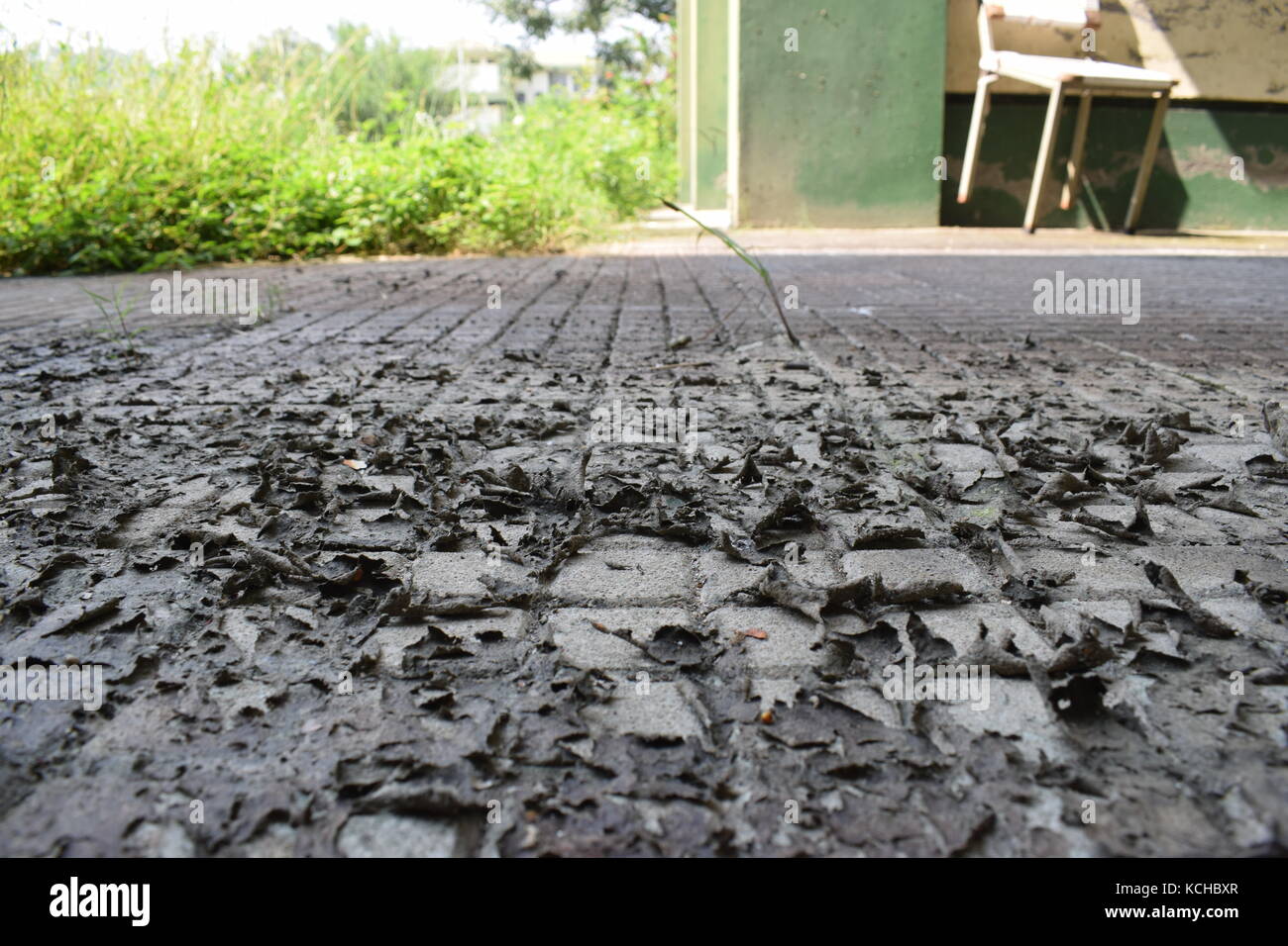 Zu glänzen, alte Schuppen... Stockfoto