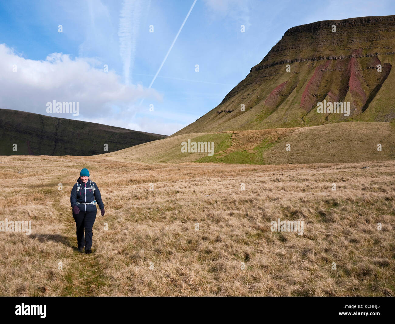 Eine weibliche Wanderer Spaziergänge unter Picws Du, in der Bannau Sir Gaer am Schwarzen Berg (Y Mynydd Du), Brecon Beacons National Park Stockfoto