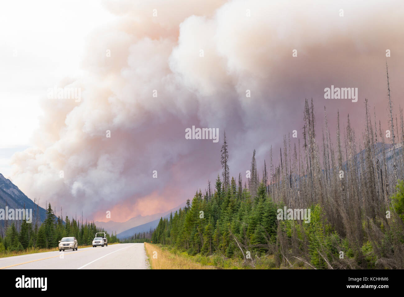 Verkehr schleicht durch einen Wald Feuer in Kootenay National Park, BC Stockfoto