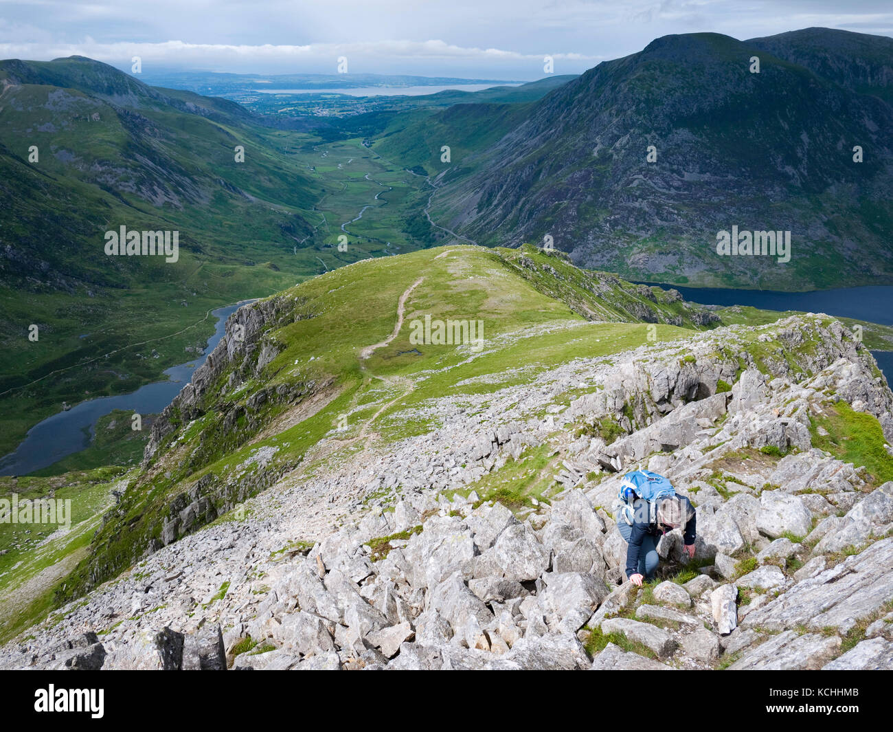 Eine weibliche Hill Wanderer genießen der Güteklasse 1 jagt auf Y Gribin, einem felsigen Grat auf der Snowdonia Glyderau Bergen, mit Blick auf den Cwm Idwal & Nant Ffrancon Stockfoto