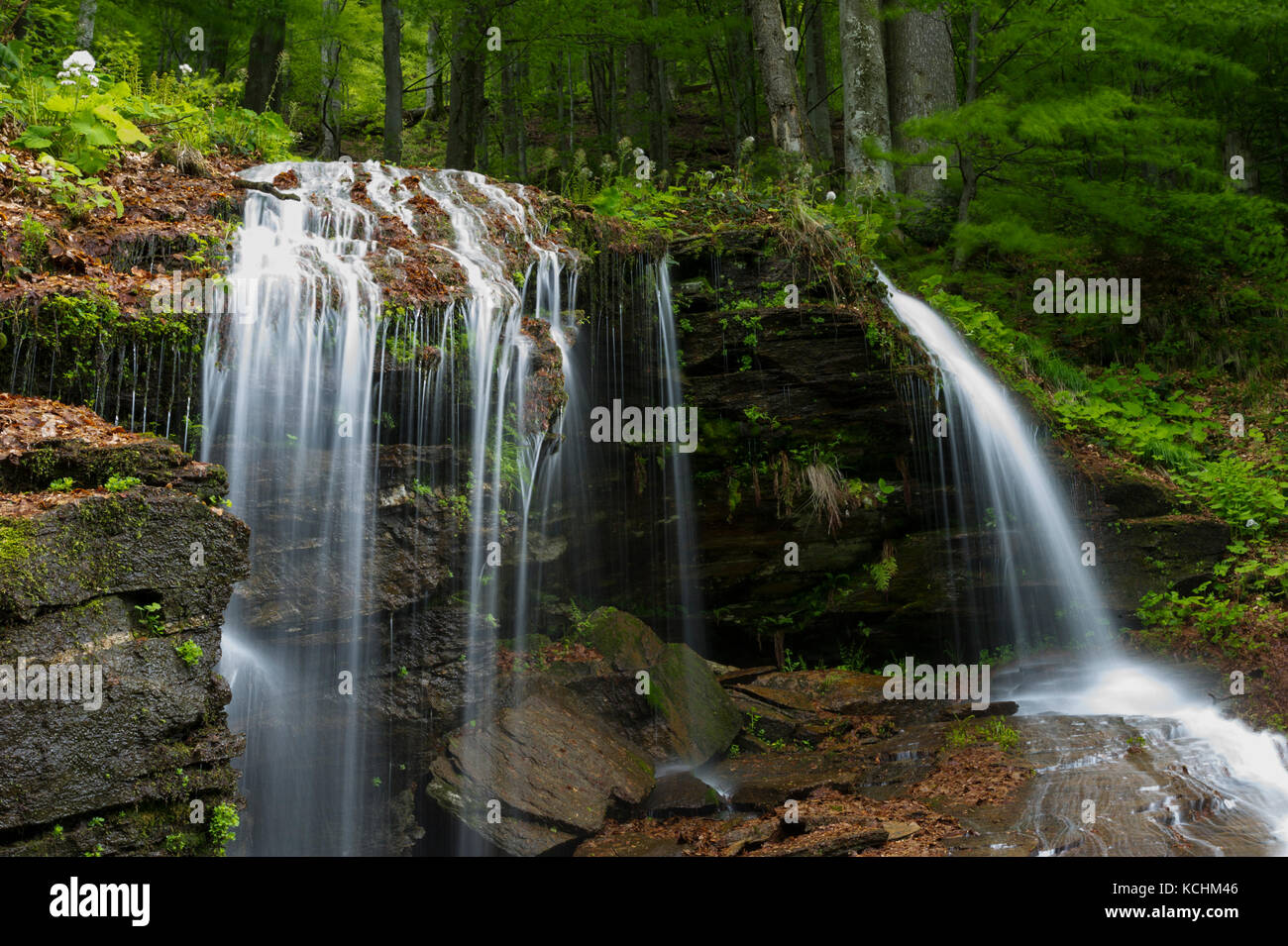 Nationalpark Domogled / Rumänien - Wasserfall im primären Buchenwald in Iauna Craiove UNESCO-Welterbe-Teil. Stockfoto